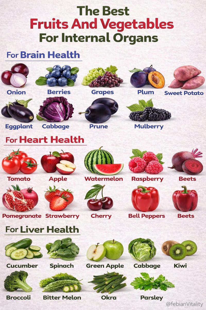 officer_pr46909's tweet image. 💡 Keep your organs healthy!
🧠 Brain: Onion, Berries, Grapes, Sweet Potato, Eggplant
❤️ Heart: Tomato, Apple, Watermelon, Beets, Pomegranate
🫀 Liver: Cucumber, Spinach, Kiwi, Broccoli, Parsley

Eat smart, stay strong! @febianVitality #FebianVitality #Superfoods #HealthyEating