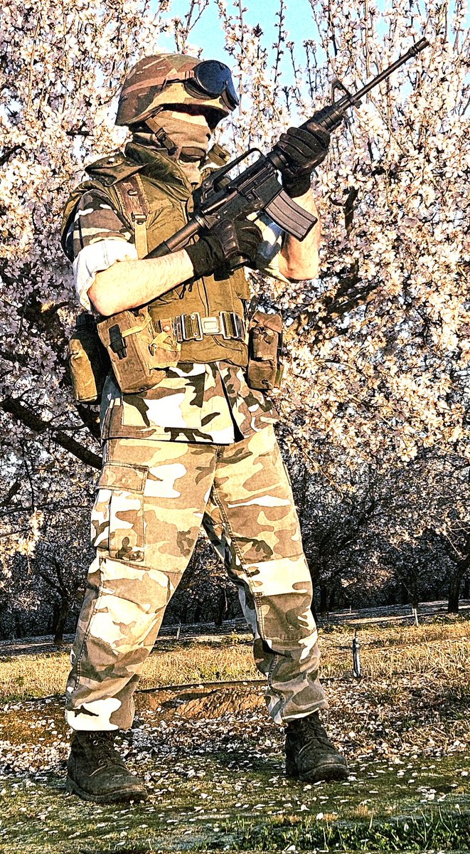 Brandon 🇺🇸 🇨🇭 tweet media