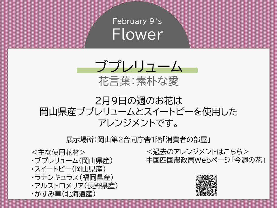 ブプレリュームの花言葉：素朴な愛＞ 岡山第2合同庁舎1階「消費者の