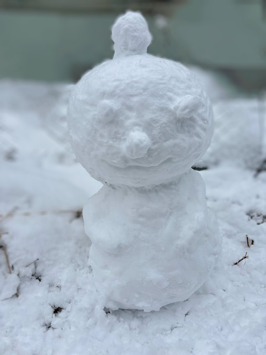 yoneookami's tweet photo. 昨日の結果！
数年ぶりの大雪めっちゃ楽しかった(≧∇≦)
やりたかった雪の花も作れて姉とノンノン雪だるまも作れ、夜はタコパでした！
 #雪だるま  #雪の花 https://t.co/czyJjt6EXQ