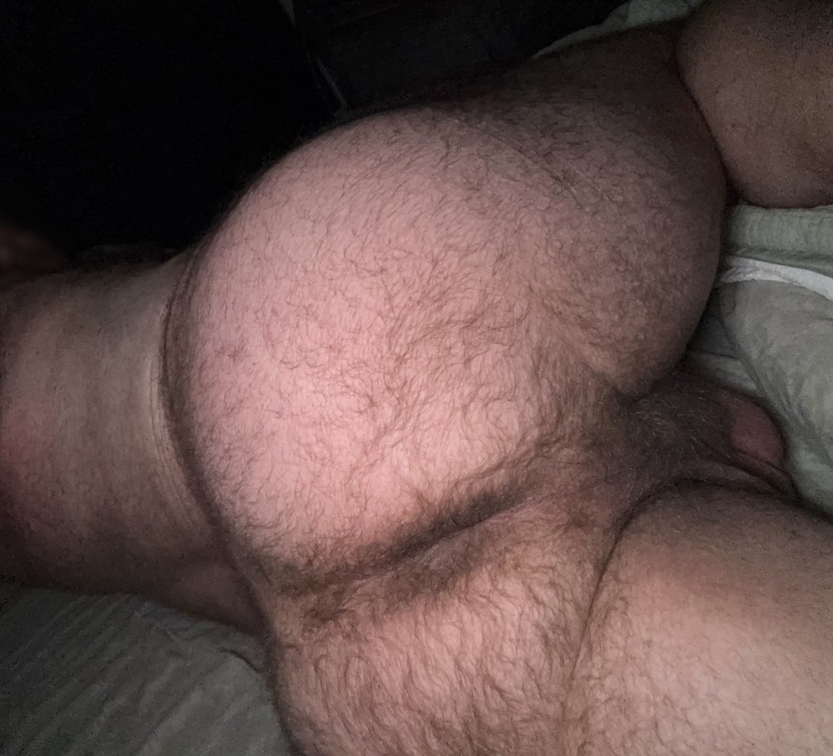 Bennett Good Boy (Dallas) tweet media