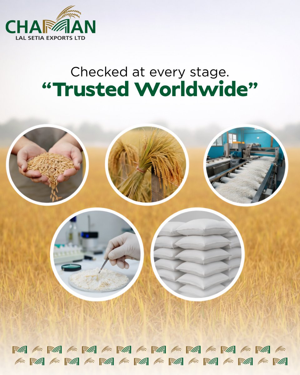 maharani_rice's tweet image. From field to final pack, quality checked at every stage 🌾
trusted worldwide for consistency, purity, and excellence.

#trustedworldwide #qualitychecked #farmtofork #riceexporter #globalquality #basmatirice #foodgrade #qualityassurance #exportexcellence #premiumrice
