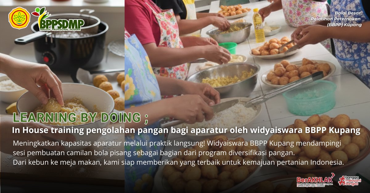 BBPP Kupang tingkatkan kapasitas aparatur melalui praktik langsung pembuatan camilan bola pisang dalam rangkaian kegiatan In house Training sebagai bagian dari program diversifikasi pangan.

#SDMPertanian #BBPPKupang #Kementan #IHT #CamilanSehat #BolaPisang #Widyaiswara
