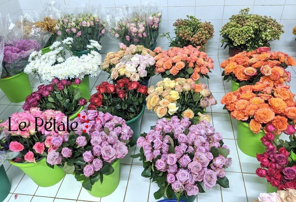 Le pétale🌹 tweet media