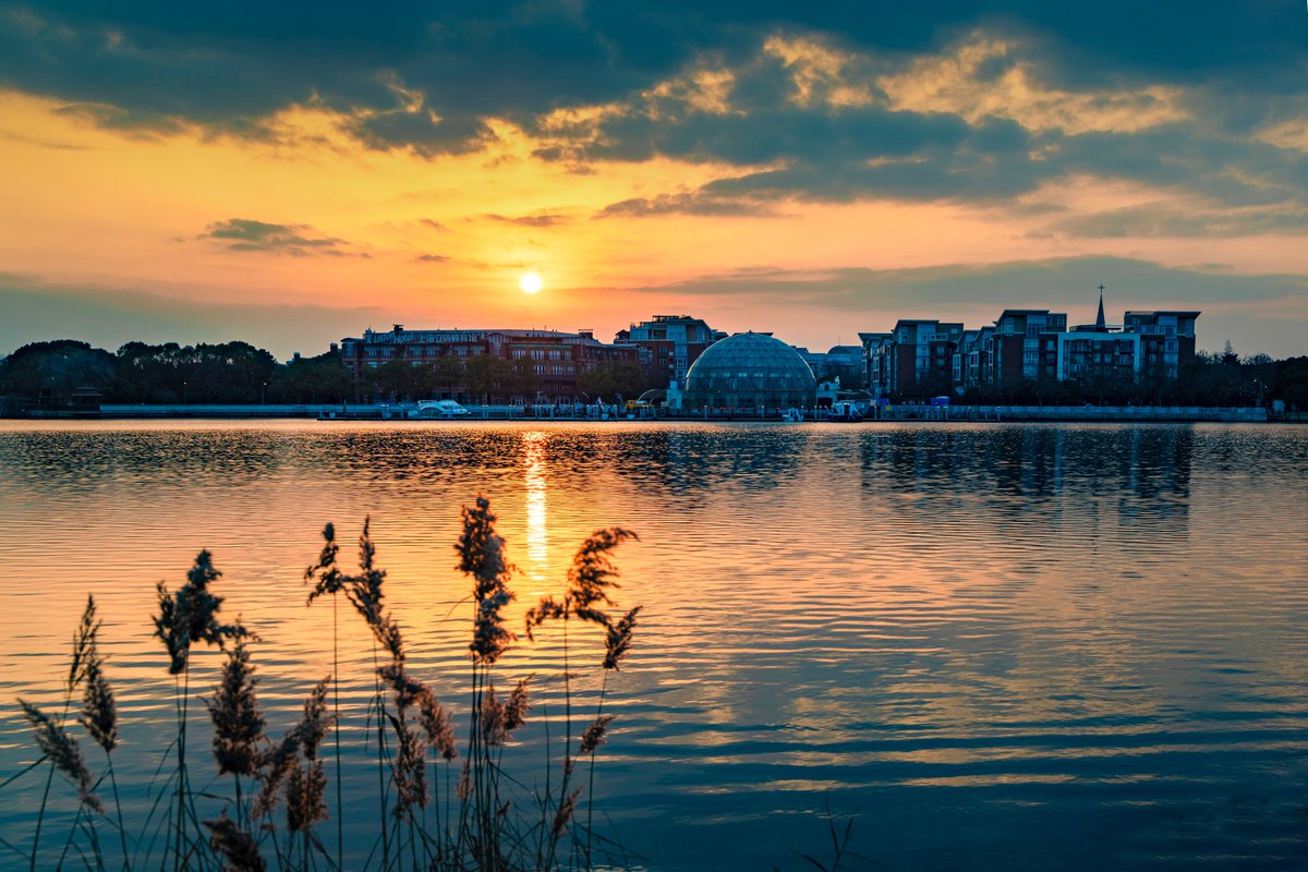 VisitSongjiang's tweet image. The golden #settingsun casts its glow over Huating Lake, making the lake surface shimmer even more brilliantly. The girls busy taking photos by the lakeside and the elderly men leisurely #fishing are all part of the unique scenery of the city. #Songjiang #shanghailife