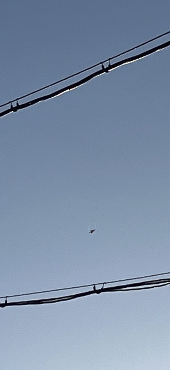cbrhiro001's tweet photo. 珍しく単機でF35が岐阜基地から上がってきました！！ https://t.co/Wd1Nuajhvf