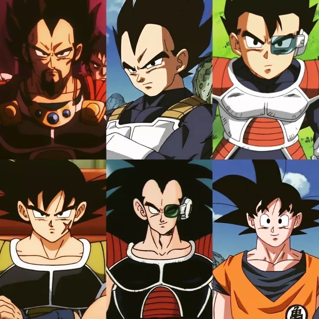 The Saiyan Family