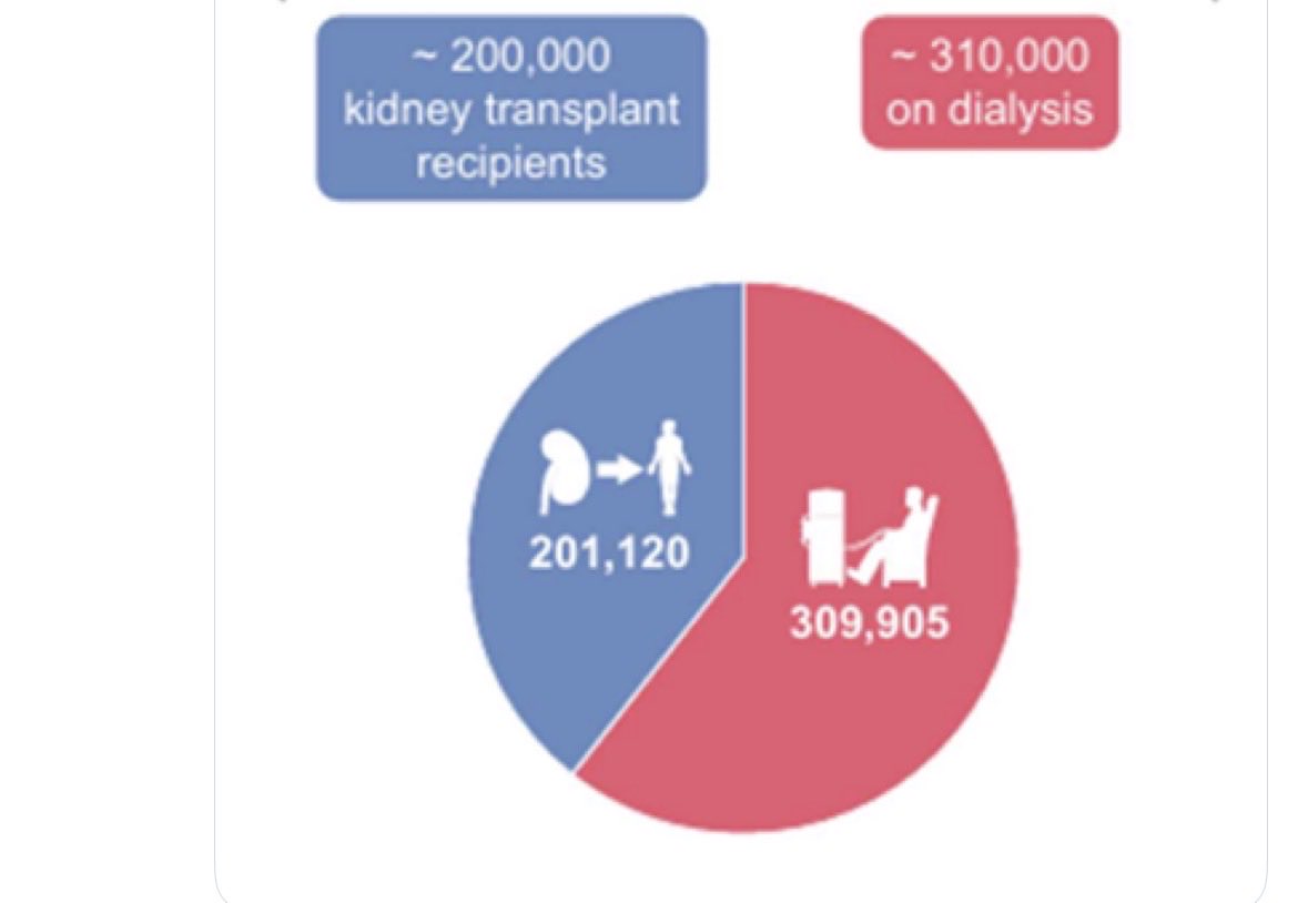 Bündnis ProTransplant tweet media