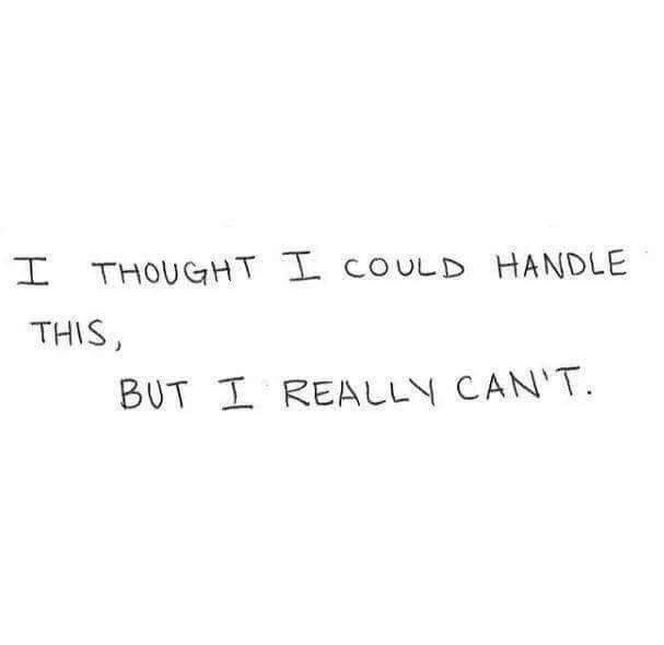 Synexdoche (@amor_fatti) on Twitter photo 