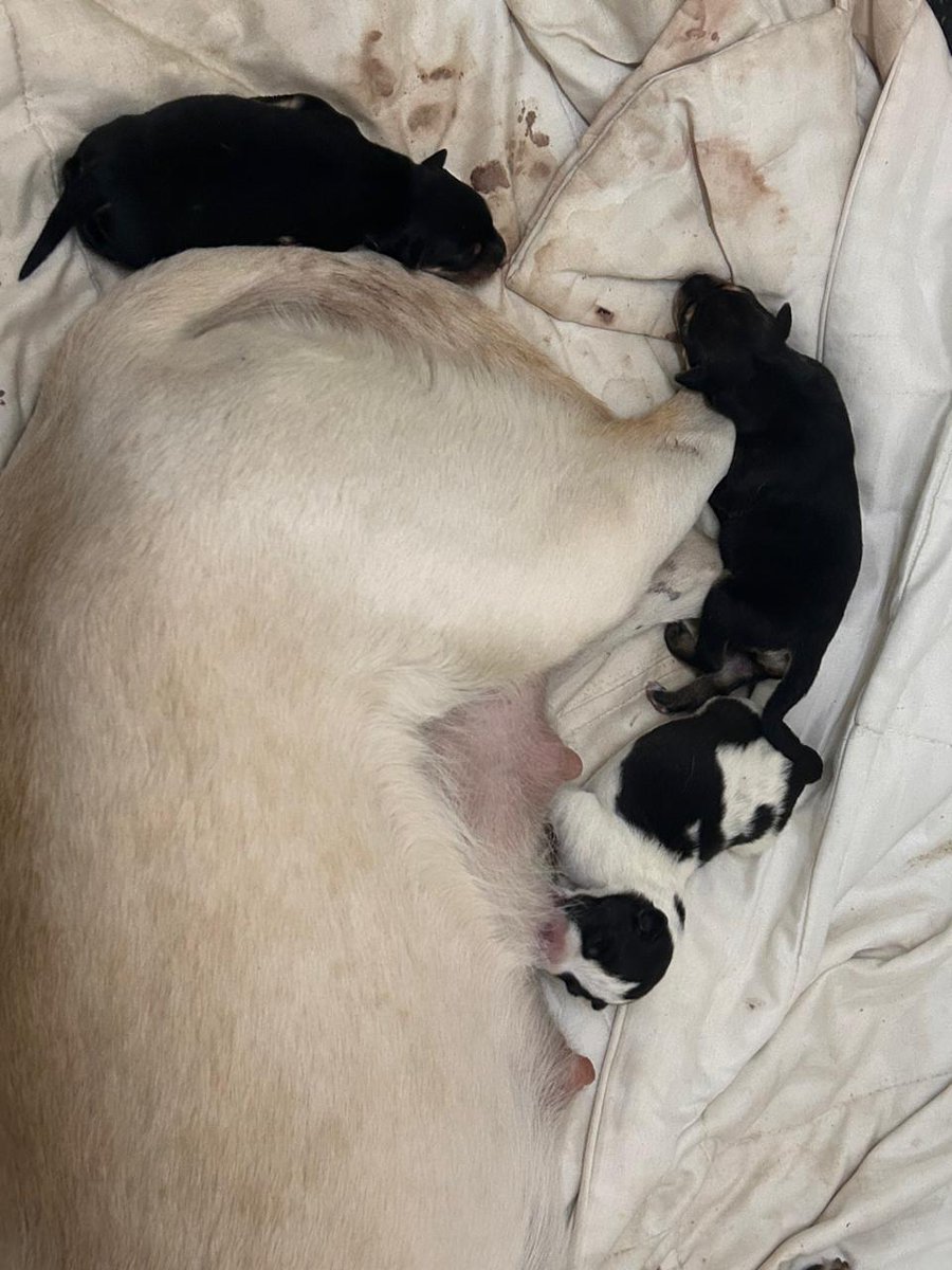 Jay is Team MAGA 🎯💯🇺🇸 tweet media