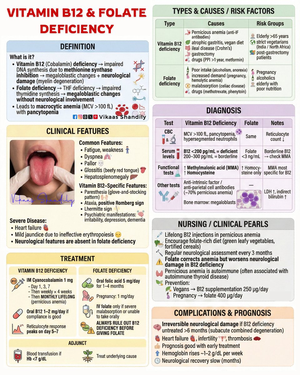 VikaasShandily's tweet photo. Vitamin B12 & Folate Deficiency: Causes, Clinical Features, Diagnosis, Treatment & Complications
#VitaminB12Deficiency #FolateDeficiency #MegaloblasticAnemia #MacrocyticAnemia #PerniciousAnemia #NeurologicalDeficit #Hematology #MedNotes #NursingNotes https://t.co/ecNZipZERG