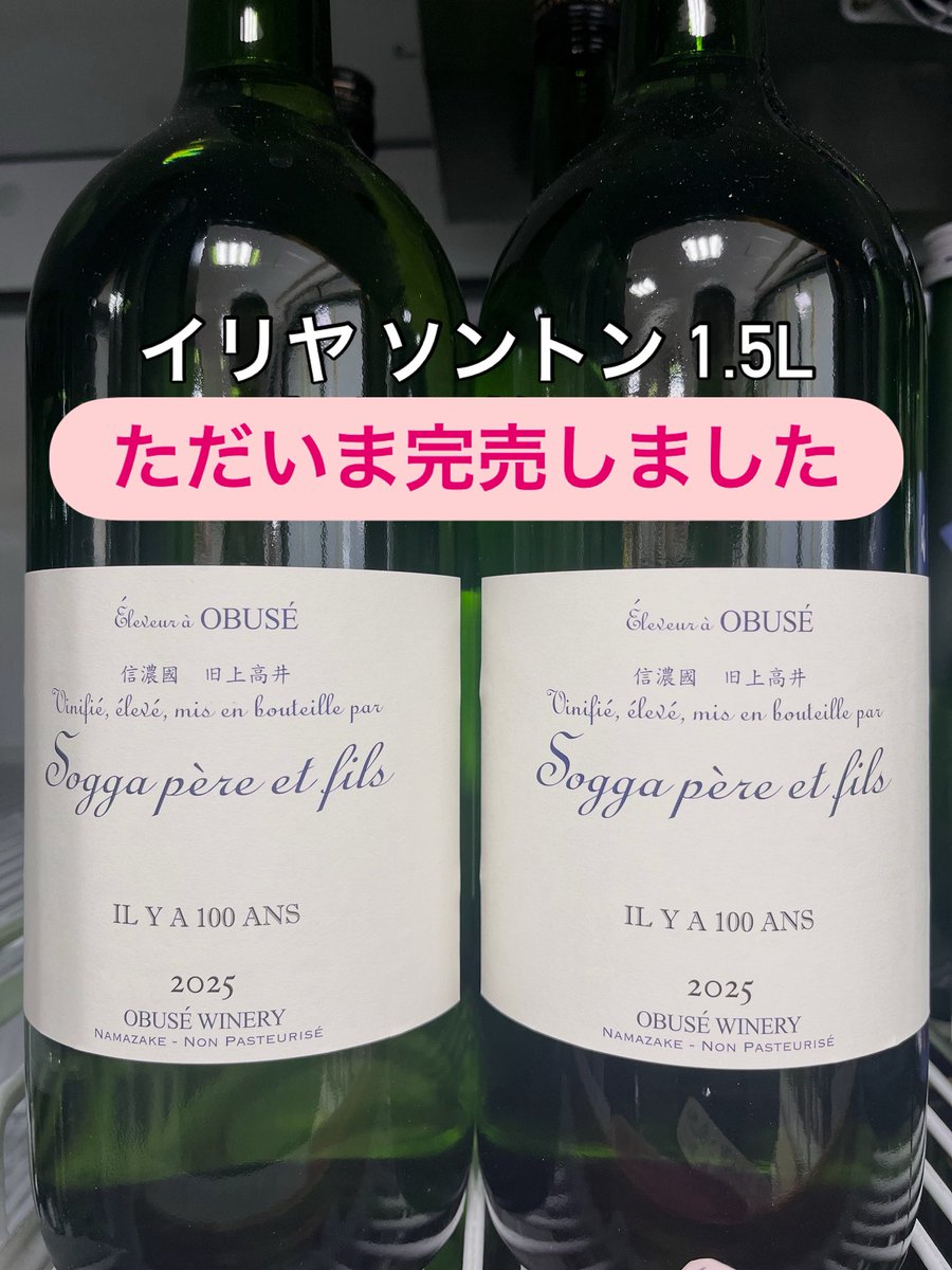 ソガペールエフィス イリヤ ソントン 1.5L 完売致しました。