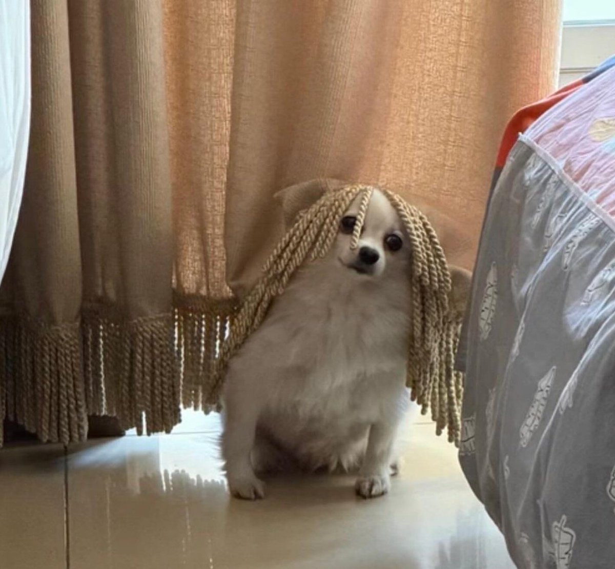 INTENTANDO FALLIDAMENTE ASIMILA ER LUNE