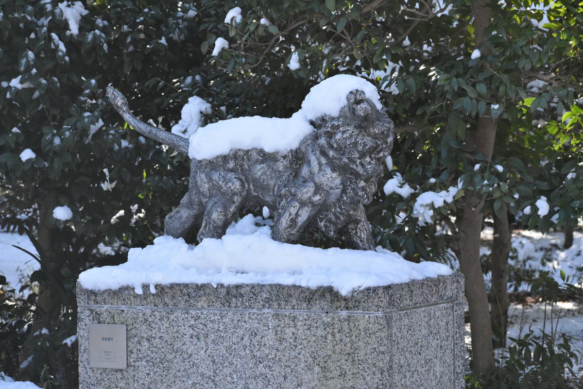北村西望 の彫刻たちもすっかり雪化粧です。 ふだんと違った雰囲気を