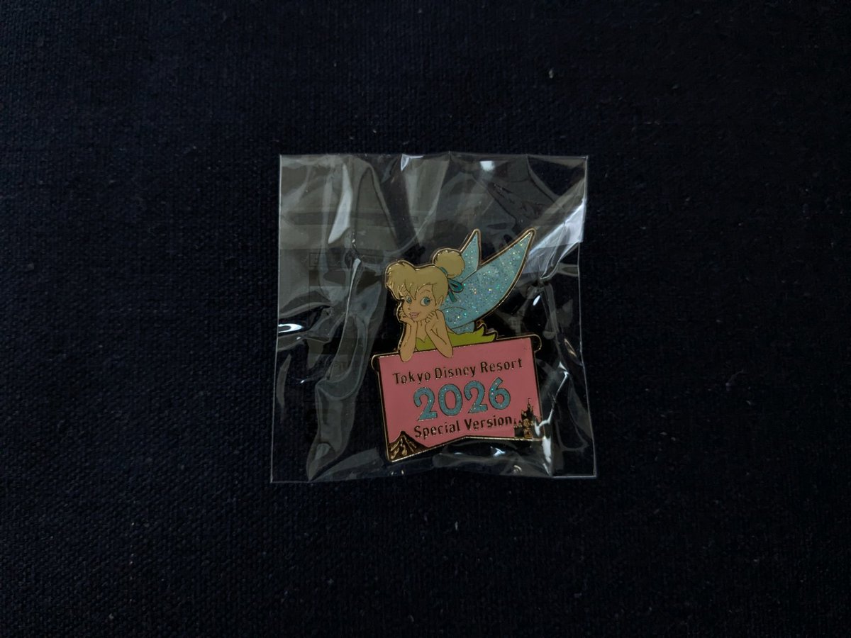 ディズニーランドのゲーム もう少しで入りそうだったのにー😭 でも