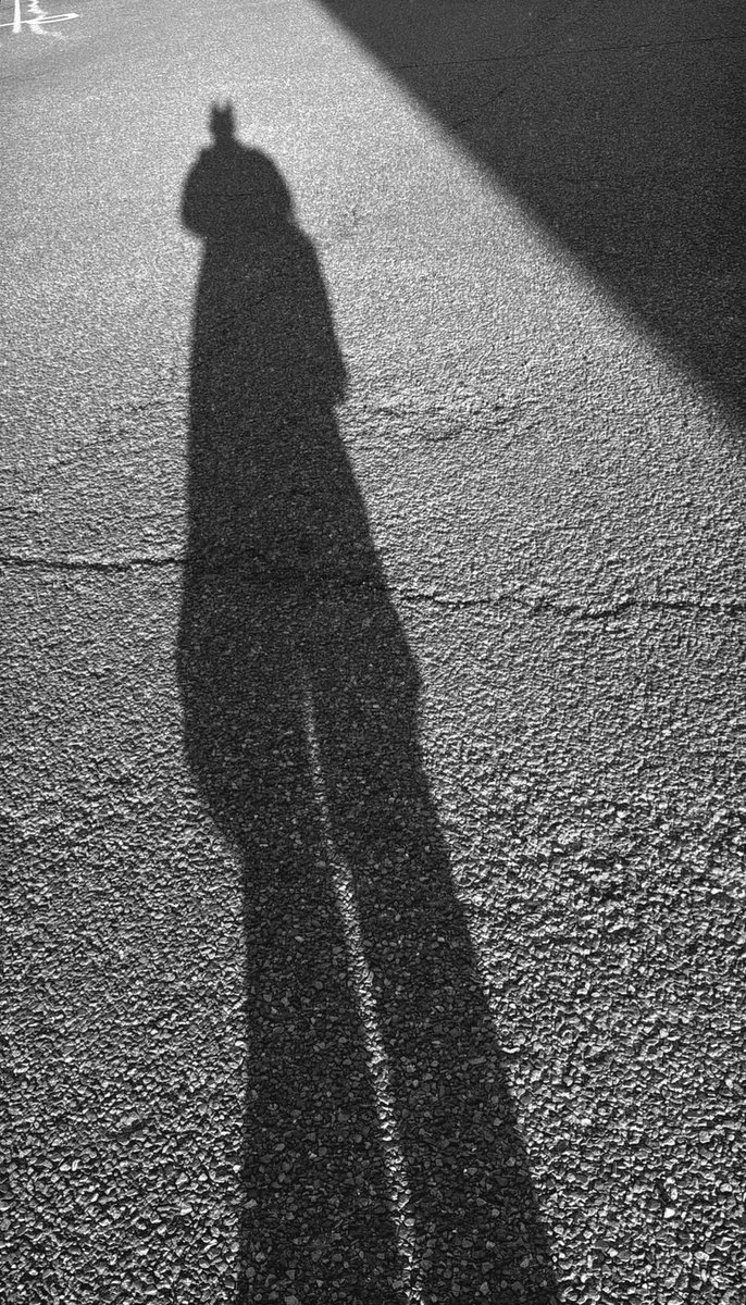 แบทแมว อะเกน😼

IGs bright
#bbrightvc