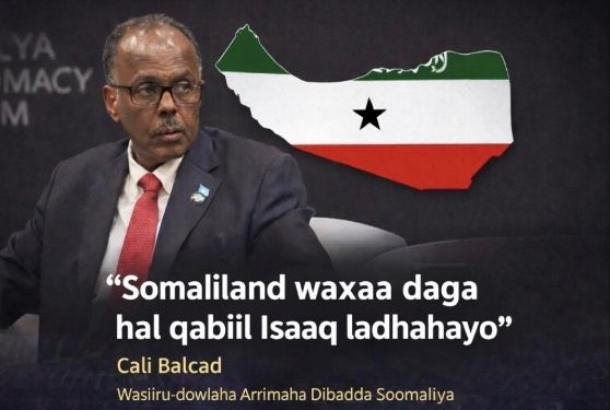 Mogadishu's favourite talking point is that Somaliland is Isaq dominated and a single clan cannot become a nation-state.

Reality is that Somaliland is a multi-clan state and has historically done more to become more inclusive than any Somali polity in the Horn.

The Isaq are the