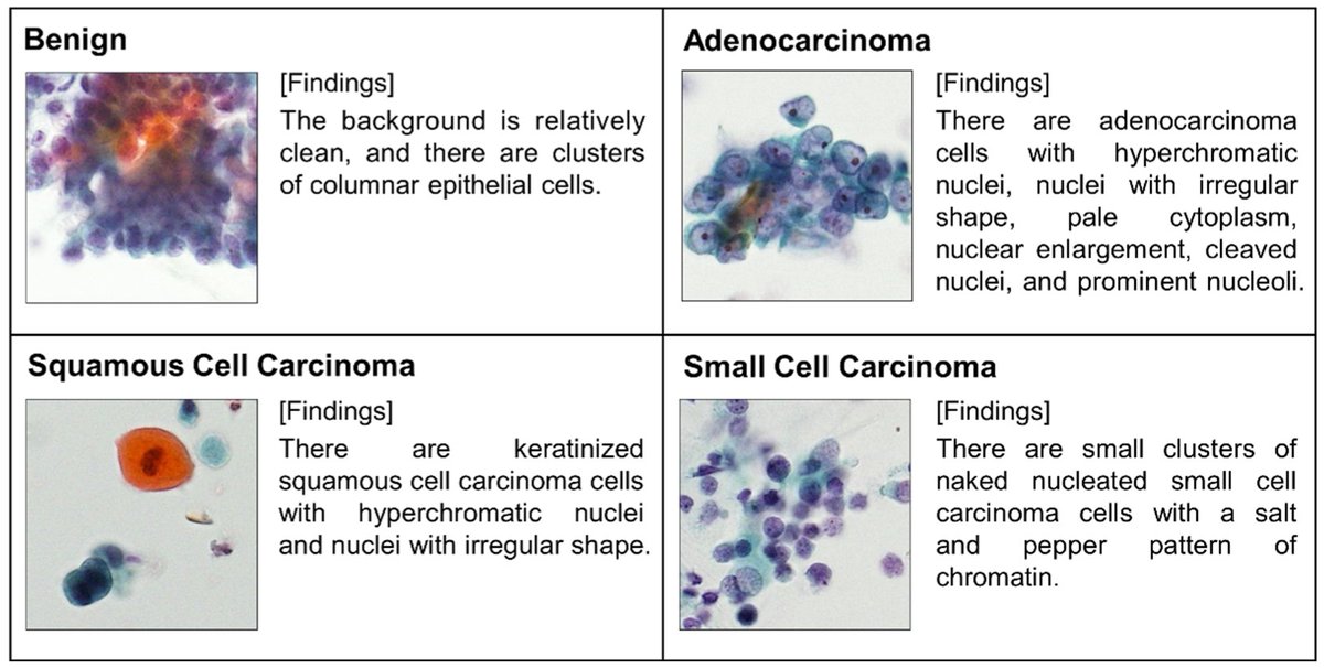 Computers tweet media