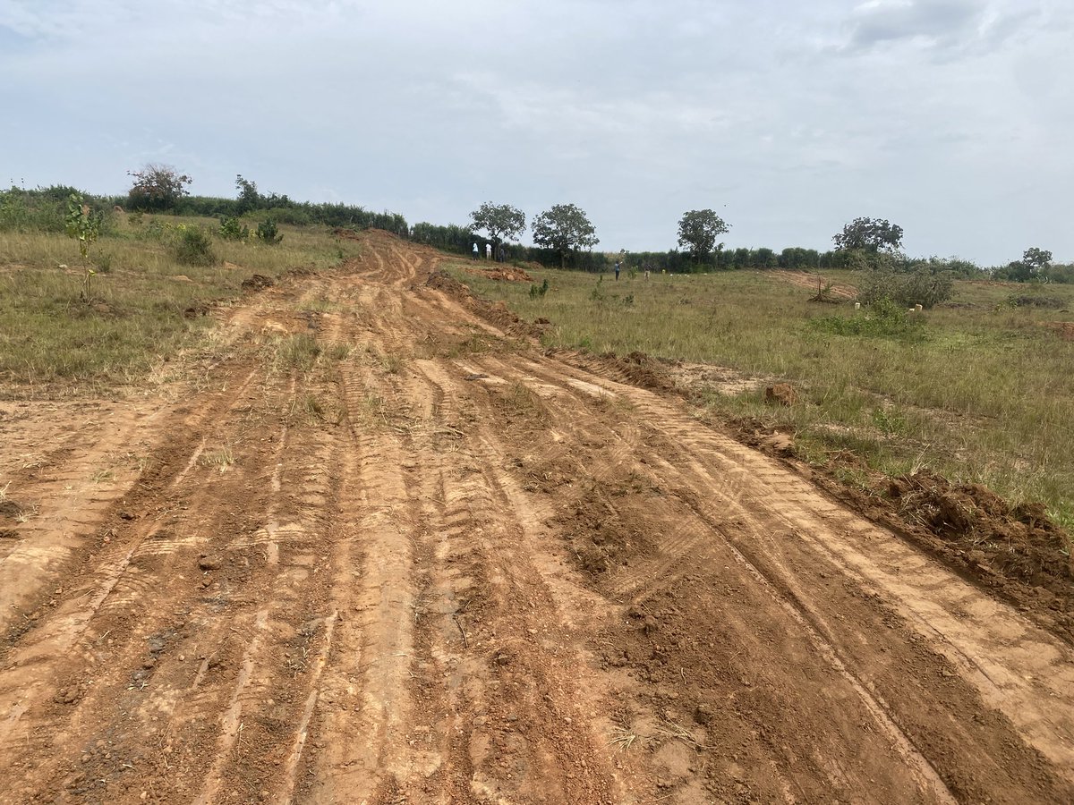 Dally Expert Realtors ® tweet media