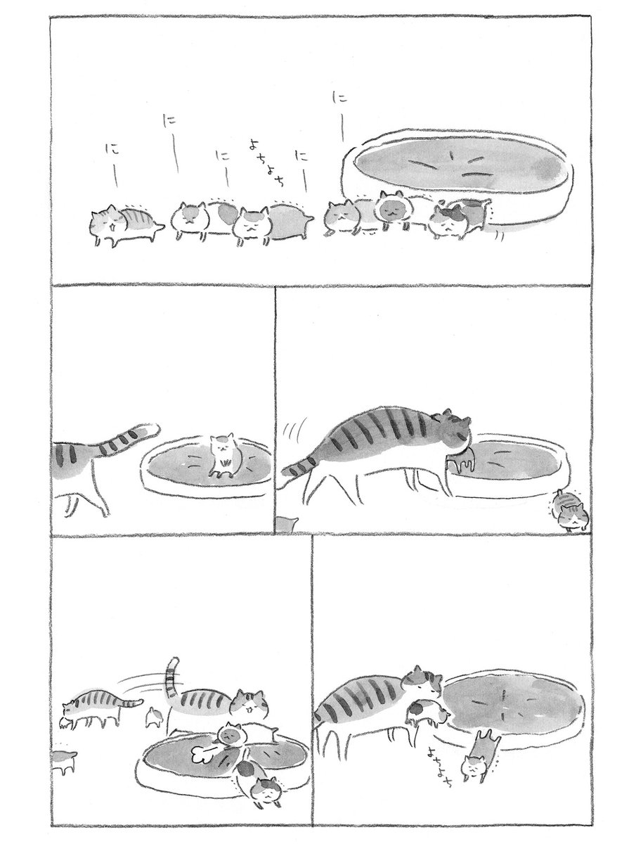 ねこまき倉庫 (@nyanta_mikan) on Twitter photo 