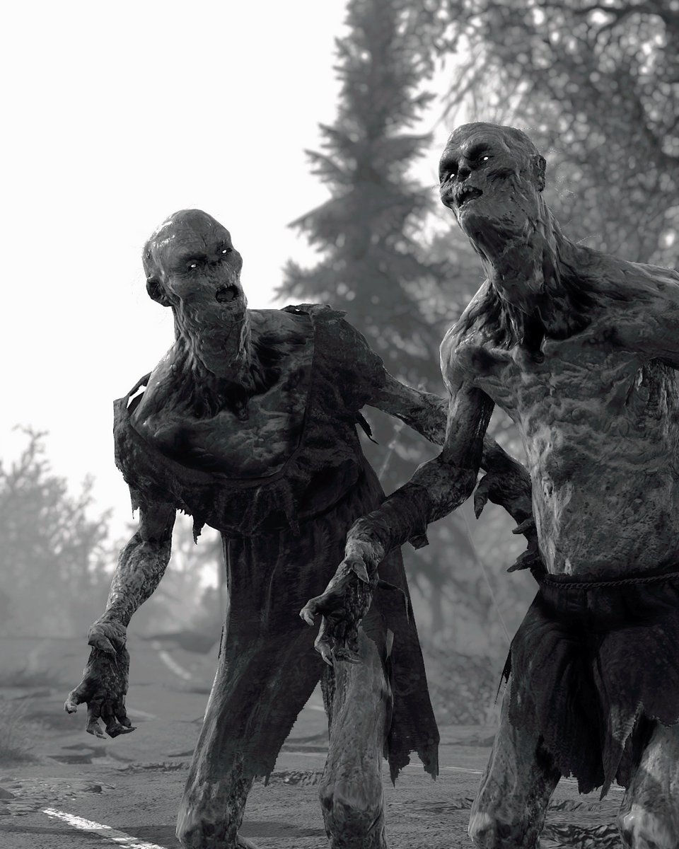 ZeroFoxFX 🦌 tweet media