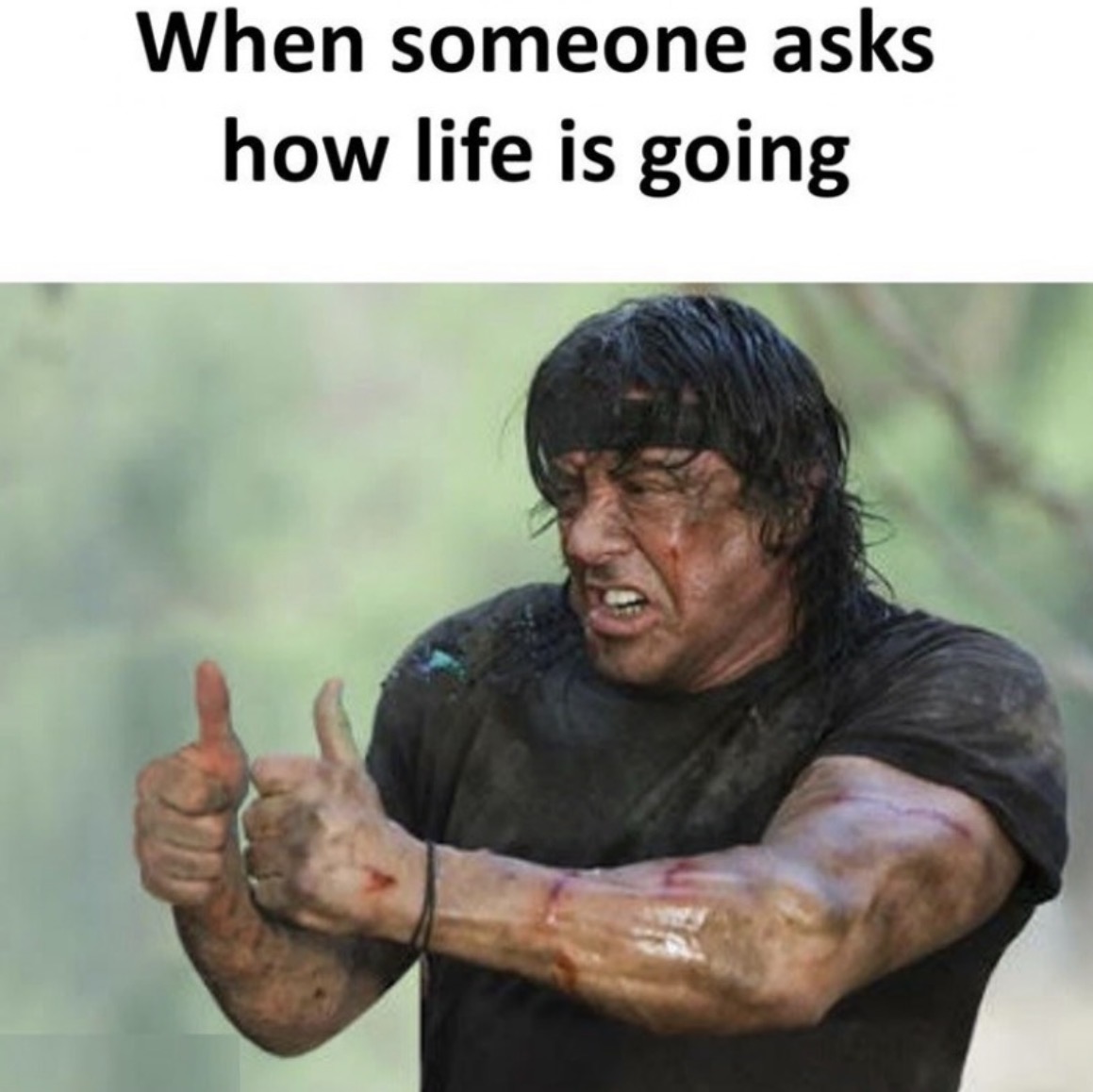 Respectful Memes tweet media