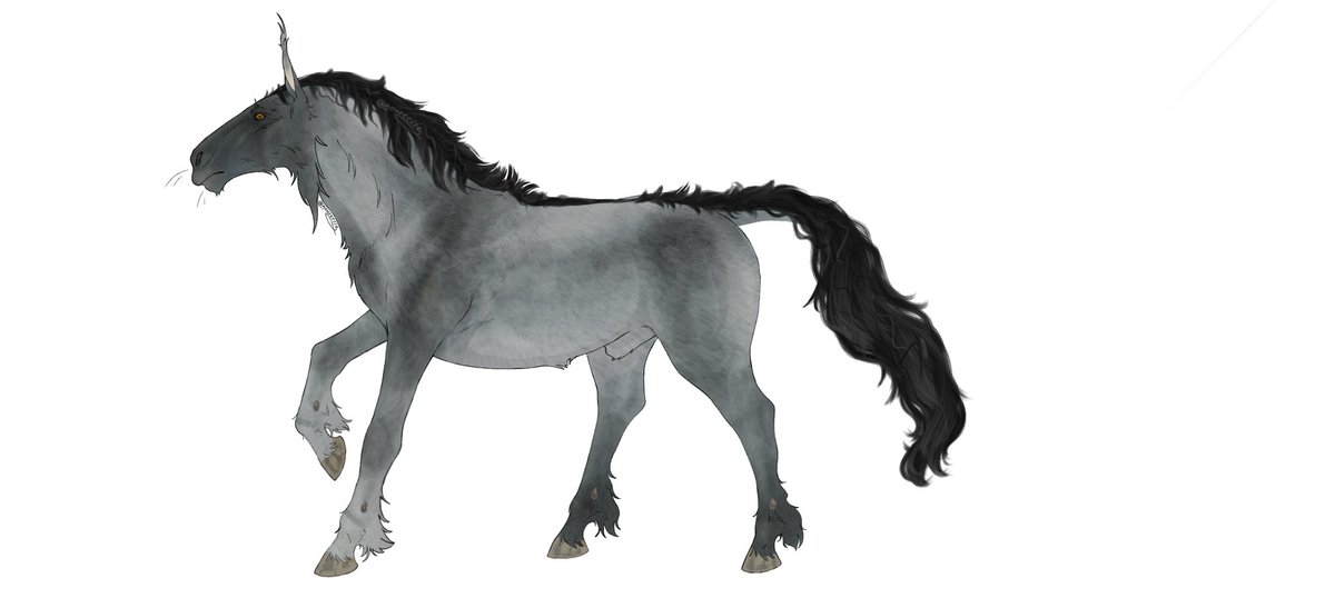 nourcesse's tweet photo. Second post hooray!! 

And another spec evo piece I have pulled out of my equestrian ahh. 
This is somewhat of an older one, as there are a bunch of errors regarding horse anatomy-  

‼️Read alt text‼️

#SpeculativeEvolution #equine #horses https://t.co/L5d6LbxGpq
