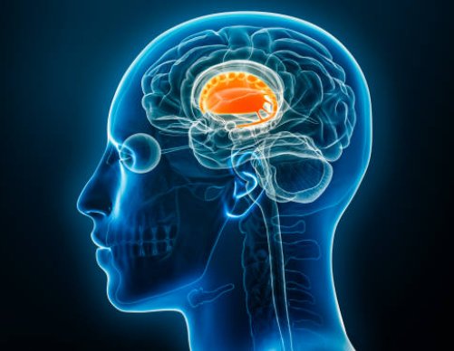 BREAKING: 🇬🇭 A Ghanaian scientist has discovered a means to treat Parkinson’s disease.