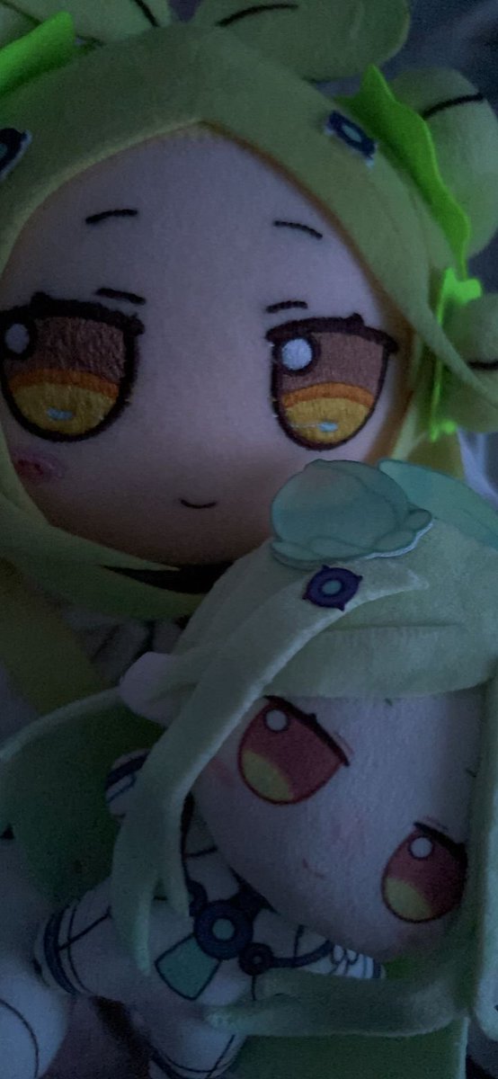 我又有新的宝宝了