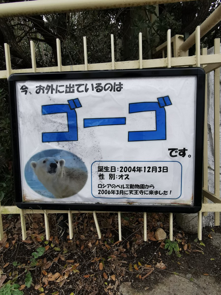 Jhonlennon777's tweet photo. #返せバカモン

　　なにが　繁殖じゃい
　あほんだら！ https://t.co/v0lcsy7J6K