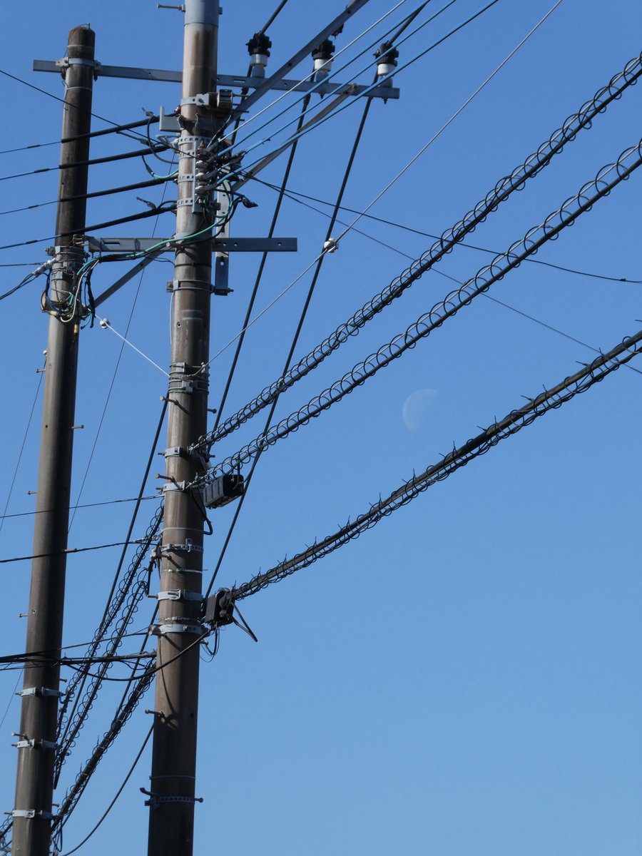 x_youkey's tweet photo. #コンデジ
#Panasonic
#Lumix
#tz99
#miyazaki https://t.co/PkyKAQ6QOn