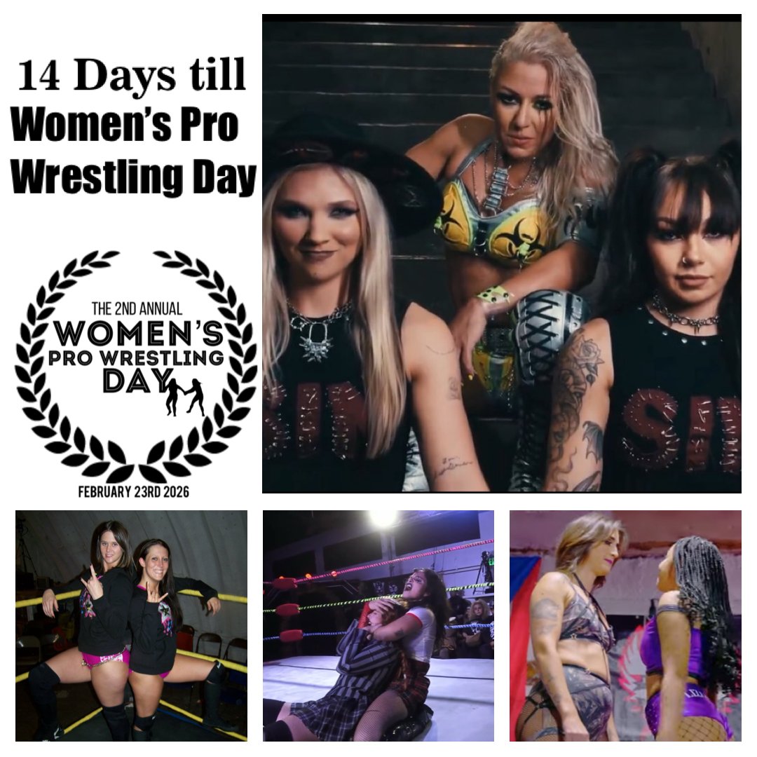 Vixens Rasslin Club tweet media