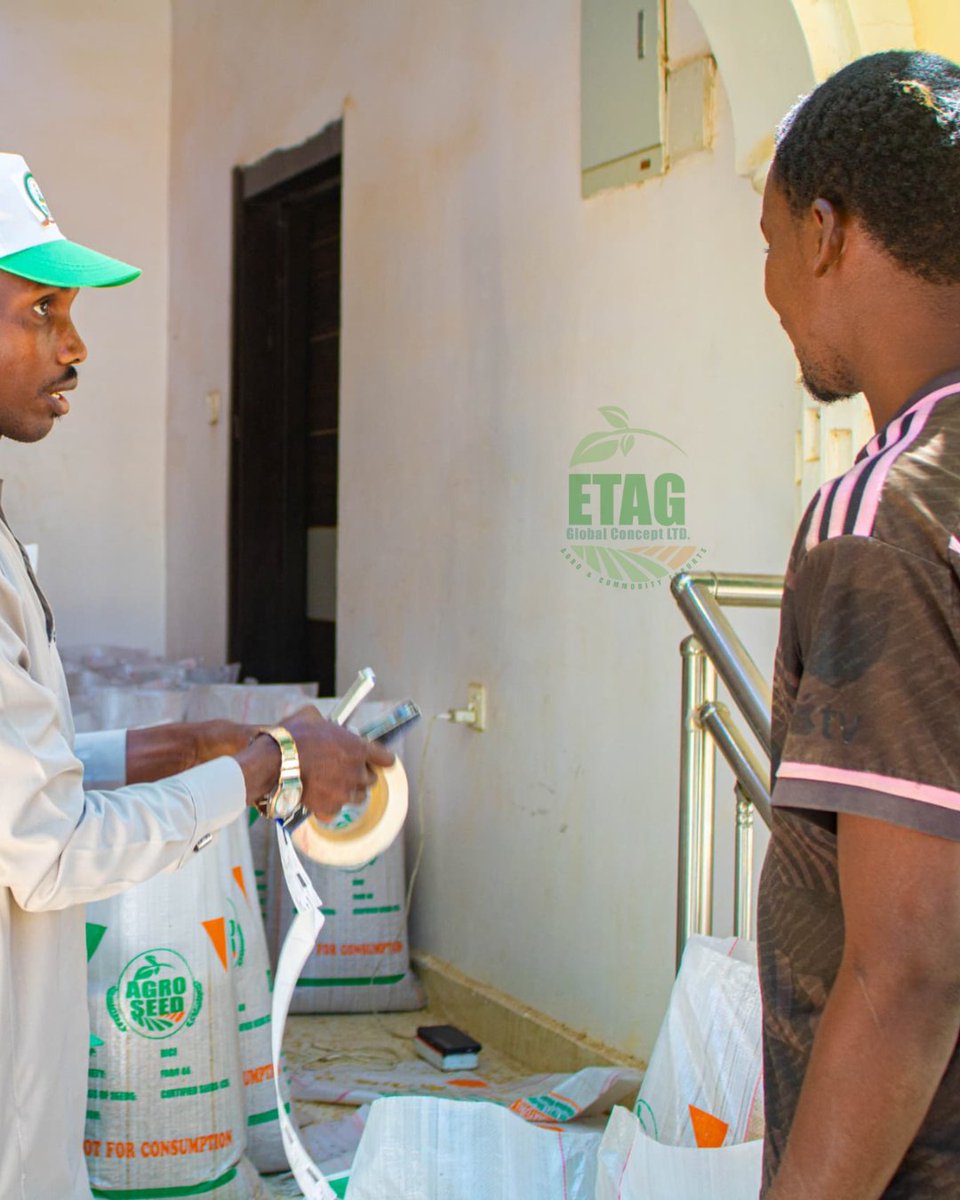 etagglobal's tweet photo. The Team is on the ground today weighing and sealing the next batch of ETAG seed. We're putting in the work now so our farmerscan reap the rewards later. 

The countdown to planting season is on! 
Check thread for more pictures
#agriculture #nigeria #farming #etagseed https://t.co/ZMDofzuG7j