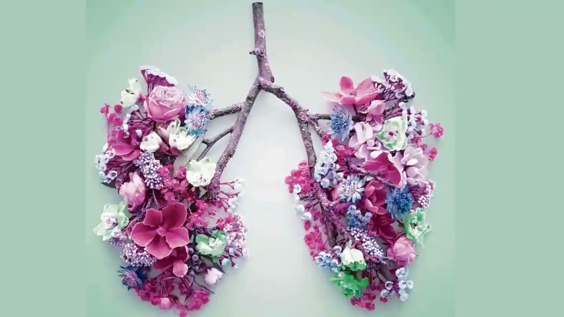 Sounds Better CIC tweet media