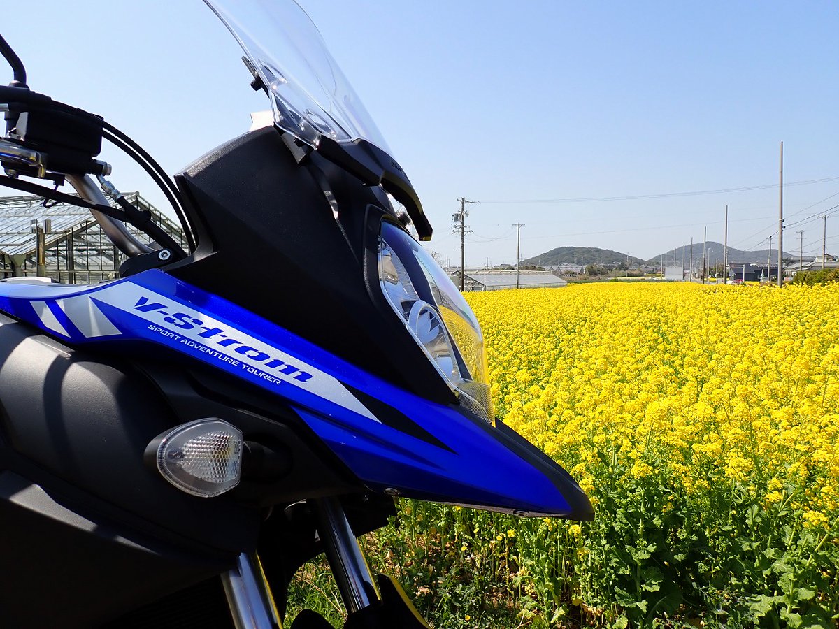 葉山 蓮太郎 (@Rentarou1043) / Posts / X