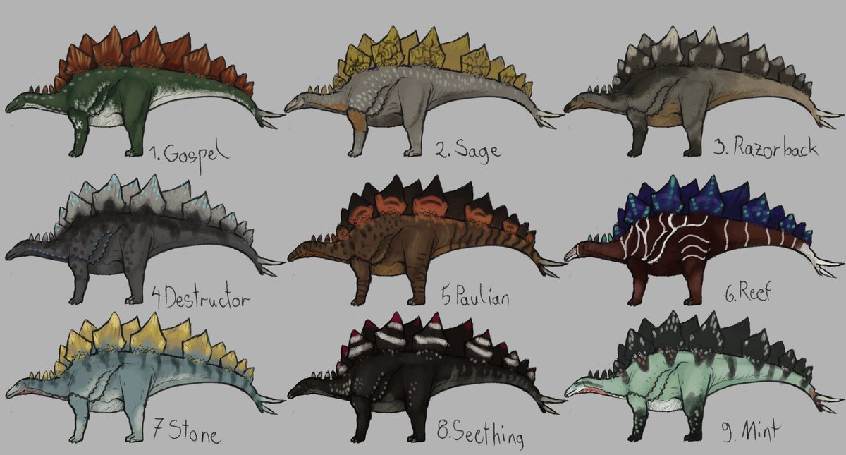 Nova Stein tweet media