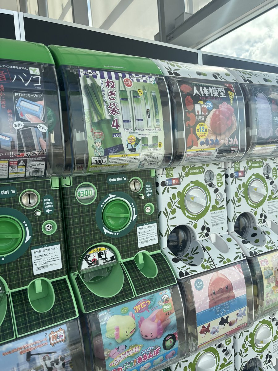 ねぎはや様 ご所望品 ばかうけ展望室で またこのガチャ見つけちゃってw ↑ポ木ちゃんに怒