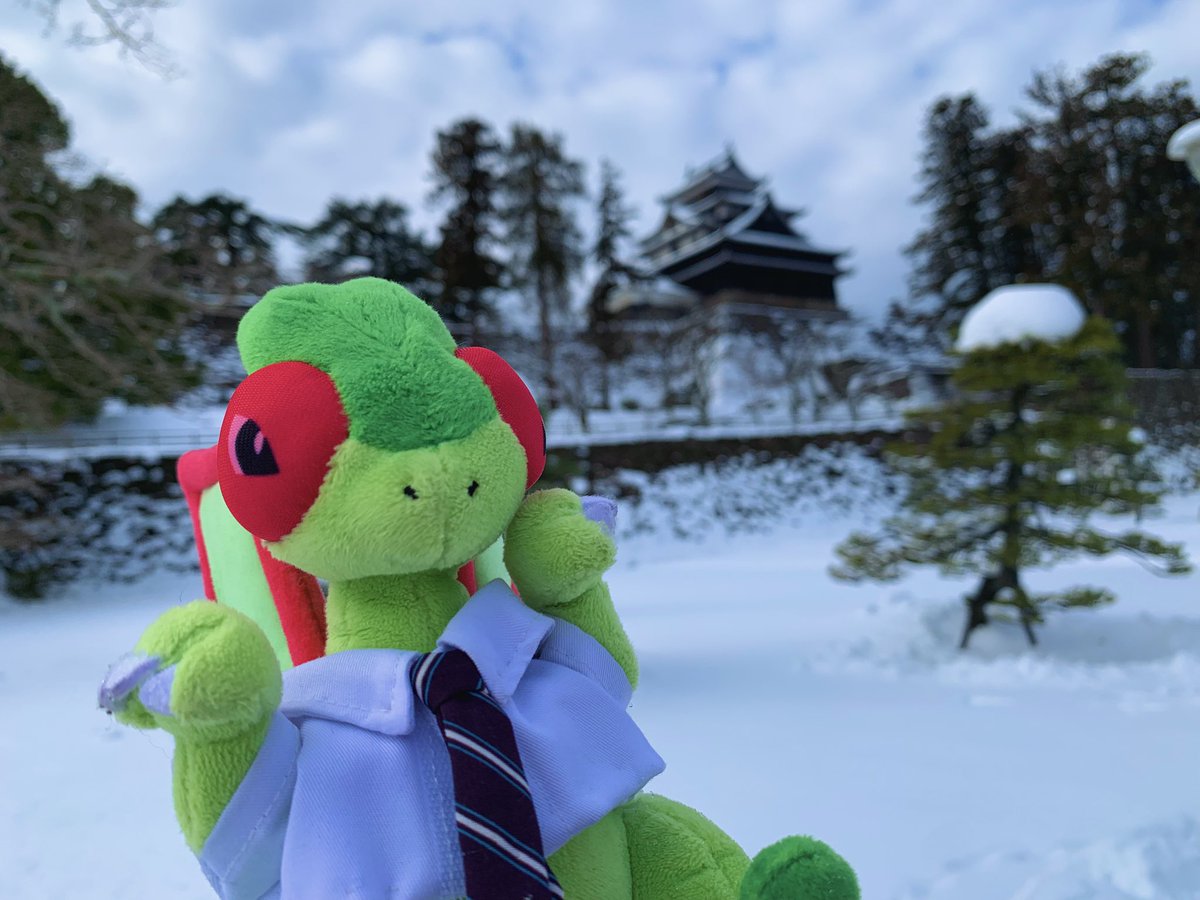 はたらくフライゴン tweet media