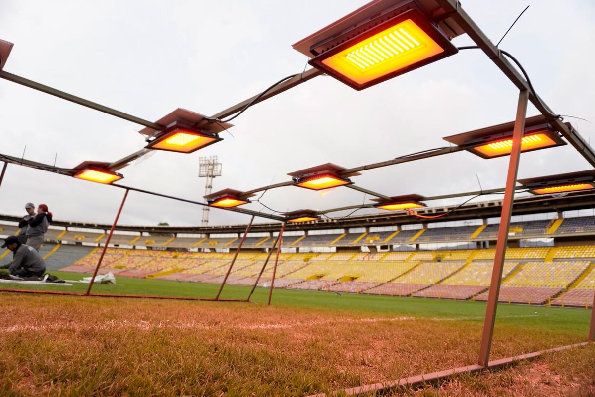 alexisnoticias's tweet photo. #CortitasYalPie llega gracias a @WplayColombia 

El plan de contingencia para recuperar el césped de El Campín:

Recambios de grama, micro recambios, fertilización y abonado para acelerar la germinación, colocación de lámparas de calor, la realización de perforaciones técnicas para que el agua baje a la subbase y tubos de drenaje con mayor eficiencia.