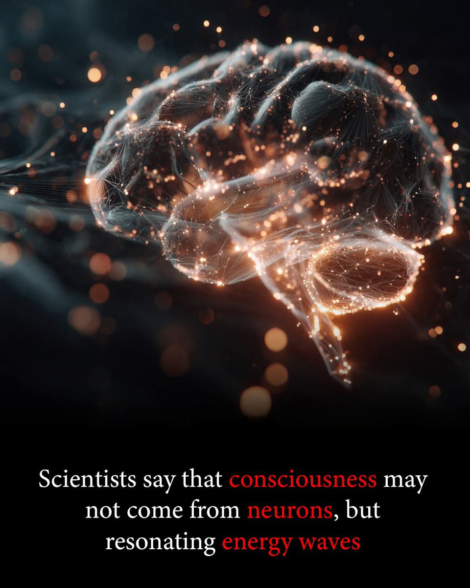 🧠 What if your consciousness isn’t neurons — but a wave?

A bold new theory suggests you’re not just a brain trapped in a skull, but a living energy pattern — a hologram of consciousness that may stretch beyond time itself.

Instead of seeing the brain as a network of firing