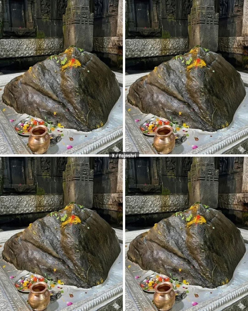 हर कष्ट का उत्तर है - केदारेश्वर महादेव 🙌