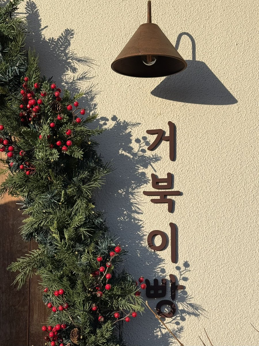 ˗ˏˋ 🐢 ꜆꜄꜆ 🍞 ⤾·˚ ༘