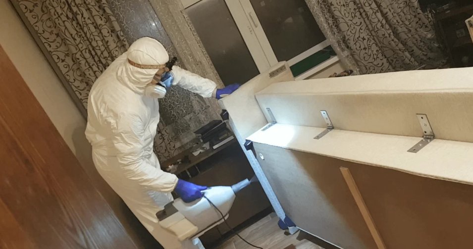 laramilik13's tweet image. Уничтожение клопов с гарантией результата от ГУП Дезконтроль: descontrol.ru/unichtozhenie-… Выезд на заявки в Москве и Московской области! #дезинсекция #борьбасклопами #обработкаотклопов