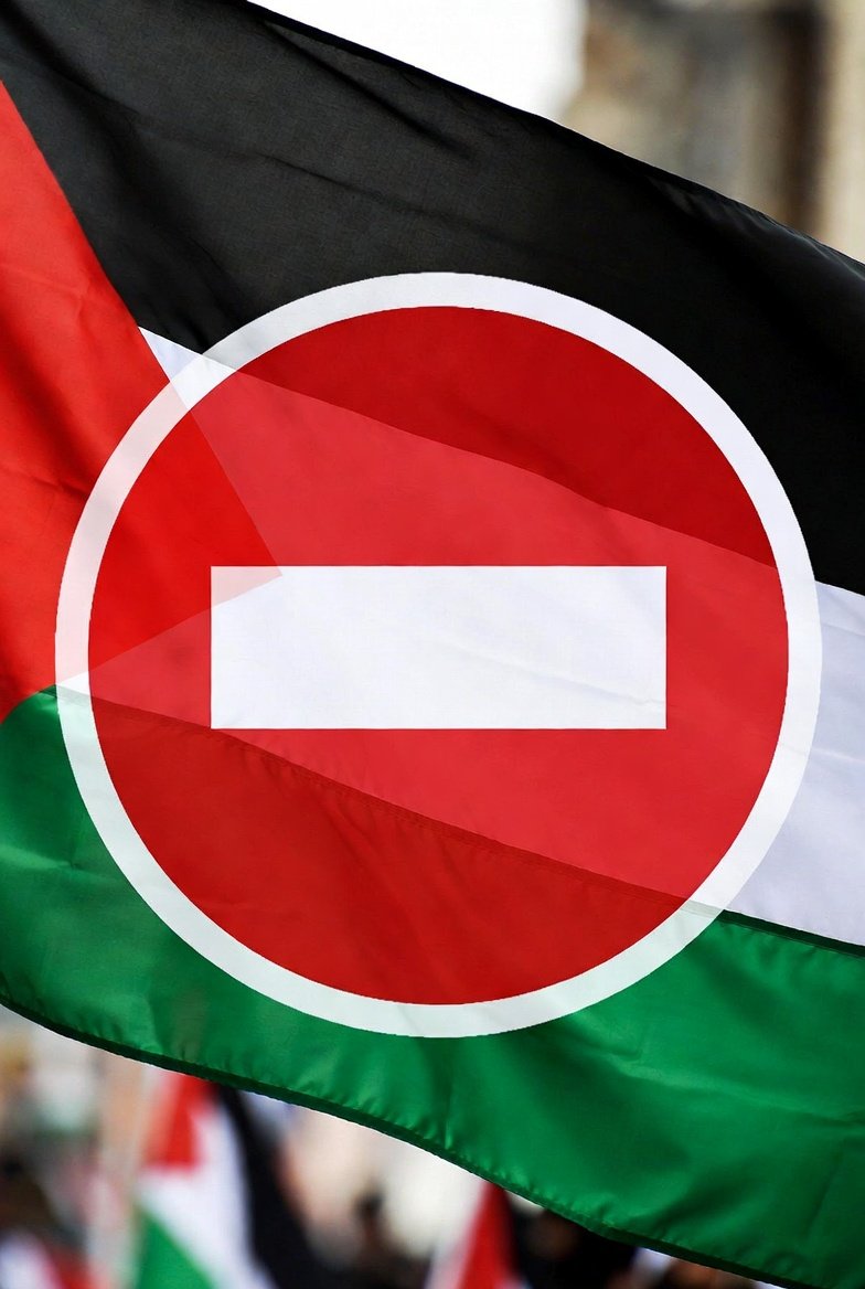 A vosotros no sé si os pasa, pero cada vez que veo una cuenta con la bandera de Palestina me da como una arcada, ¿Soy el único?