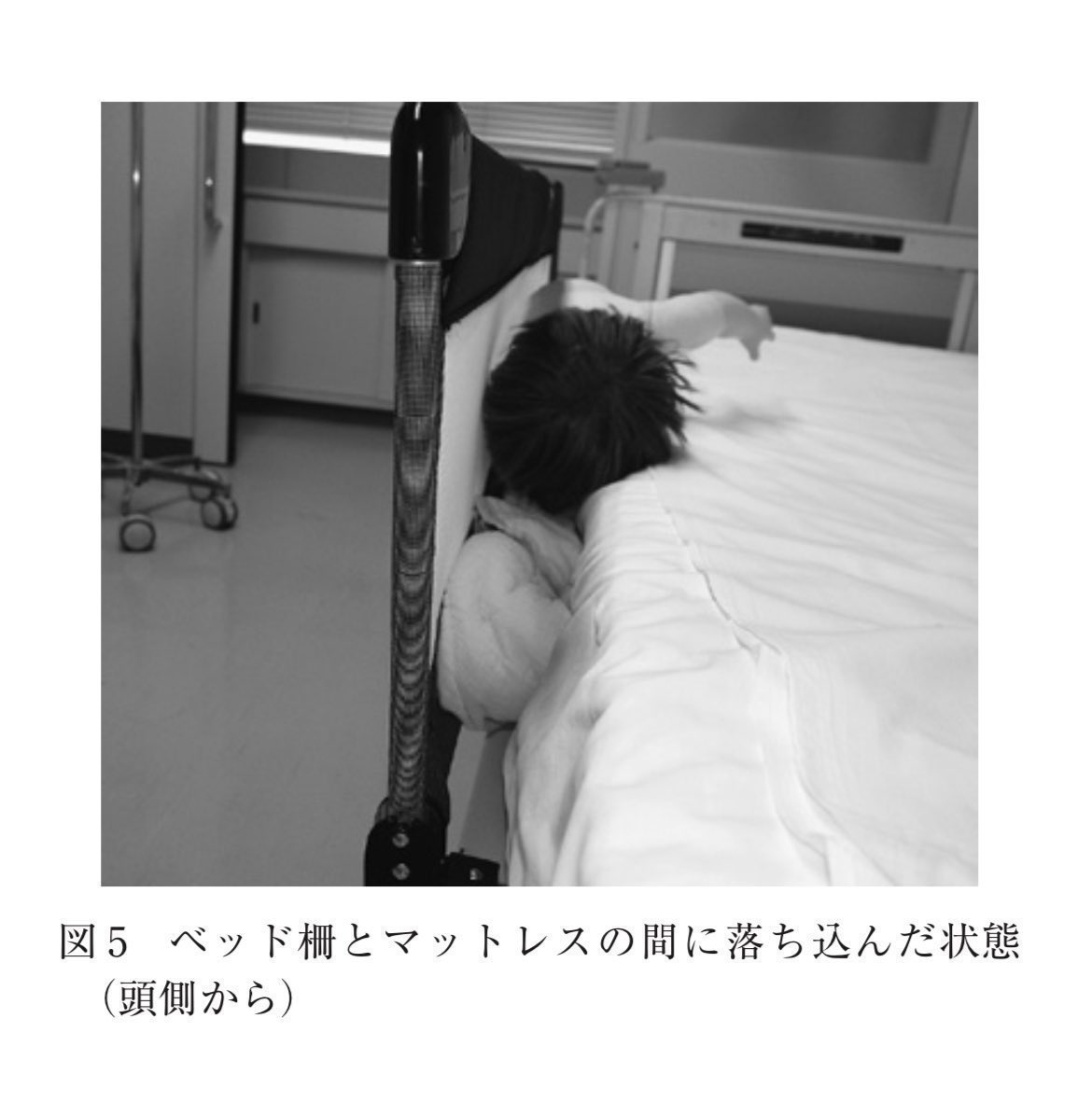 Dr.しば tweet media