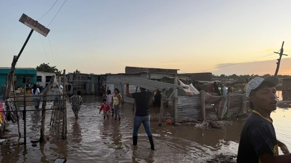 Carlos de Céspedes Piedra tweet media