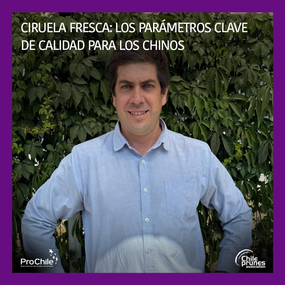 Para ver la noticia entra a este link: chileprunes.cl/2026/01/31/cir… #prues #chileprunes
