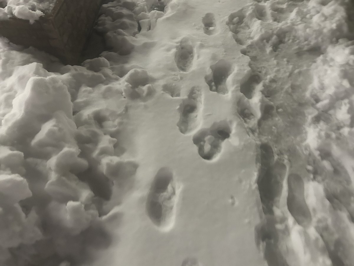 帰ってきたら足元コレですよ
東京とのギャップで大風邪引きそう🫠笑