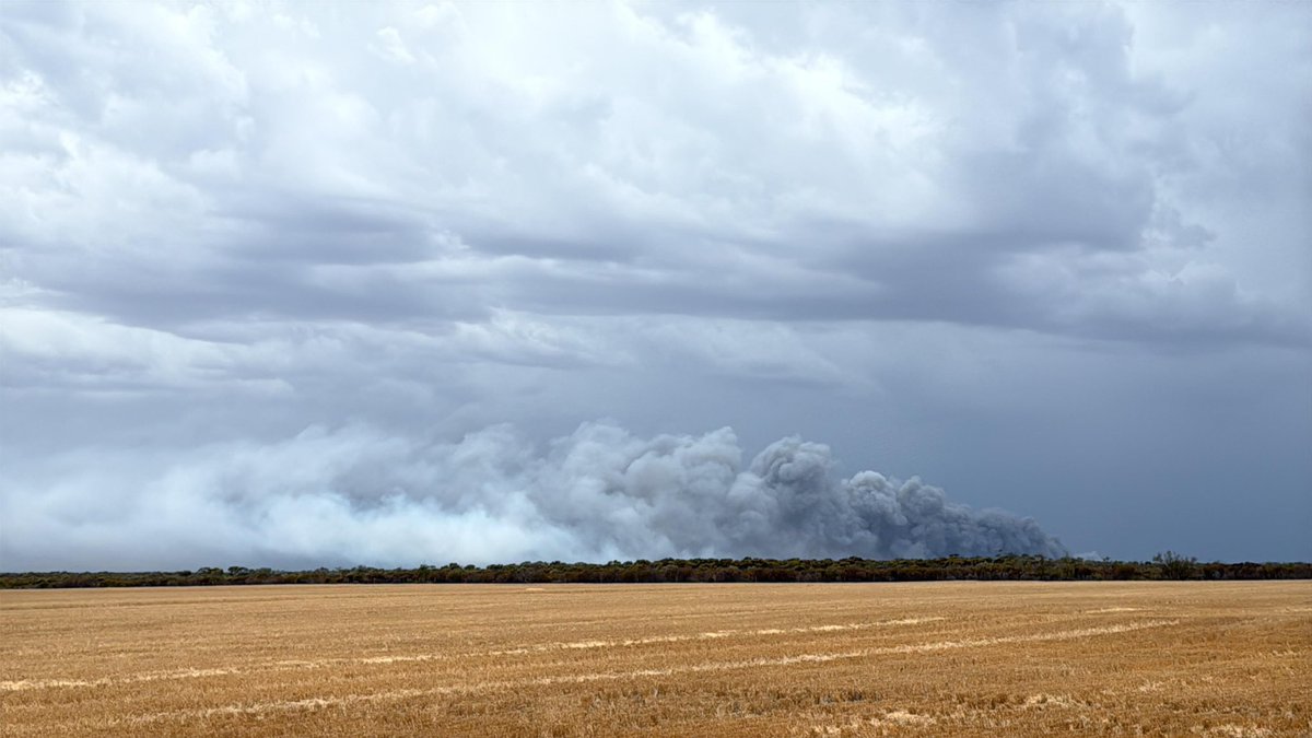 Andy Duncan tweet media