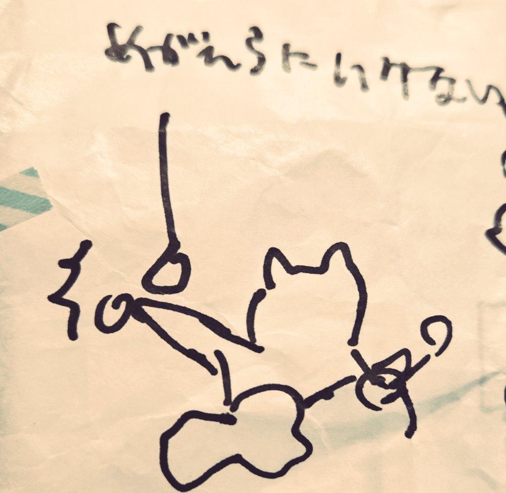 ちー (@wonder3) / Posts / X